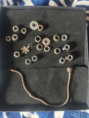 Authentic Pandora Snake Chain Bracelet with  Clasp & 20 Mixed Charms